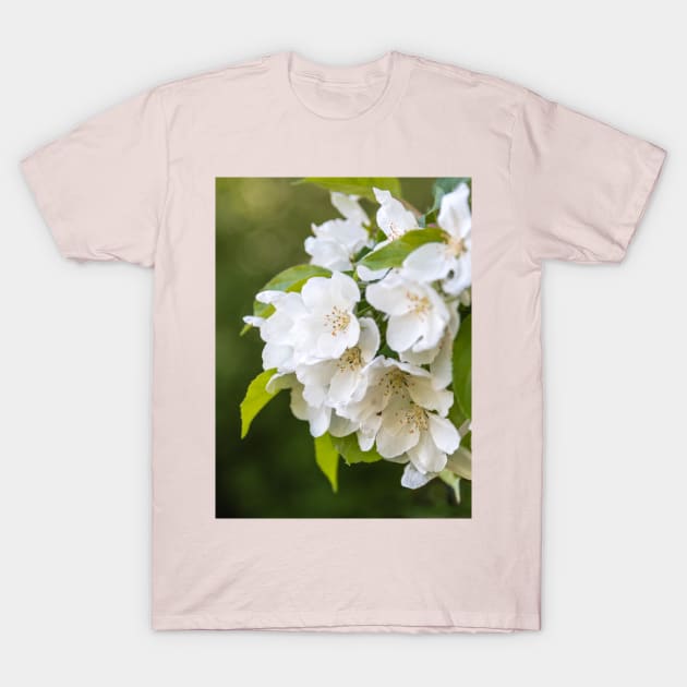 White Apple Blossoms Springtime T-Shirt by Amy-K-Mitchell